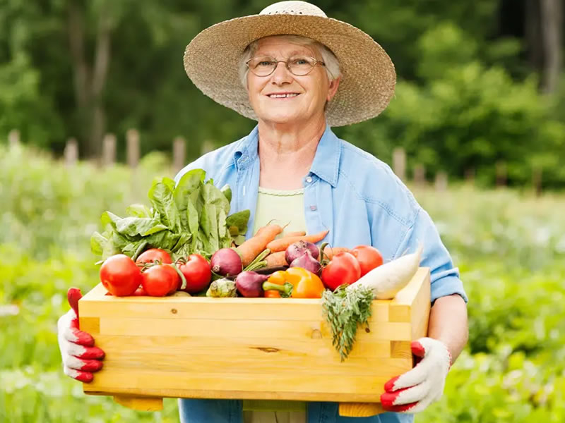 Aposentadoria rural: como fica em 2025