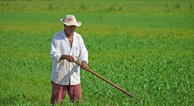 Decisão em caso de aposentadoria rural nega tempo de trabalho antes dos 12 anos